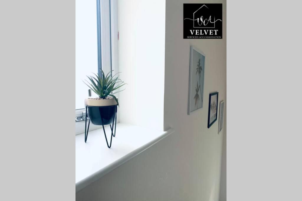 ✪ Leisure/Business ✪ 1 Bedroom Apt , Free Parking Swansea Zewnętrze zdjęcie